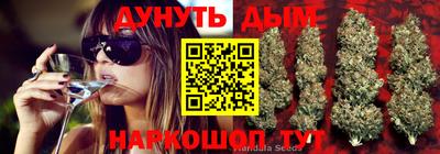 Альфа ПВП Ливны