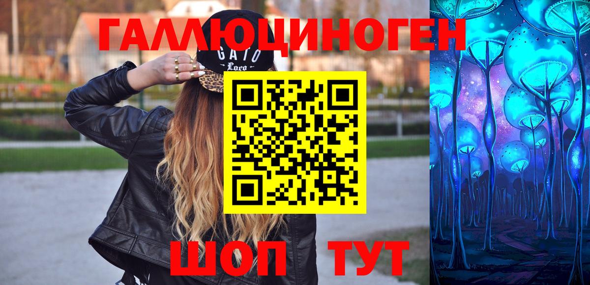где купить наркоту  Галлюциногенные грибы MAGIC MUSHROOMS  Зеленогорск  Вход с VPN  Псилоцибиновые грибы прущие грибы 
